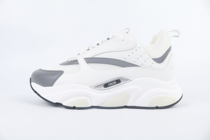 Dior B22 White Silver