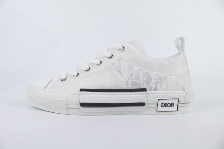 Dior B23 Low Top Oblique