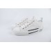Dior B23 Low Top Oblique