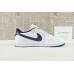 Jordan 1 Retro Low Metallic Blue