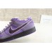 M Batch Nike SB Dunk Low Concepts Purple Lobster