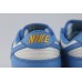 GP Nike Dunk Low Coast
