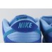 Nike SB Dunk Low Blue Raspberry